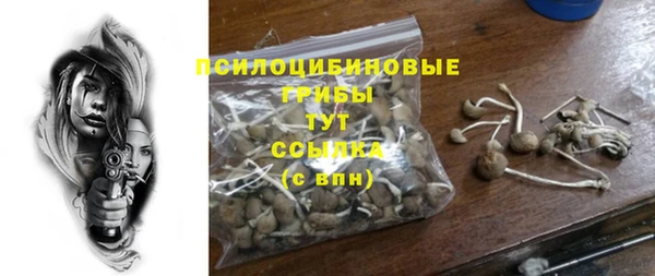 MDMA Богородск